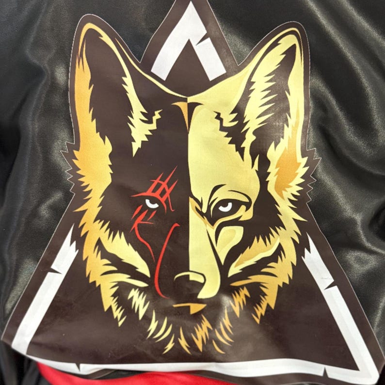Boxing Robe with Full Color Custom DTF Logo Personalized Wrestling Robe Costume with unique logo print